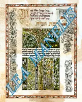 10Биркат аБайт_