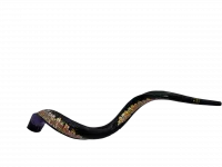 Shofar Night Jerusalem