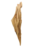 Photoroom-20241112_123057-no-bg-preview (carve.photos)