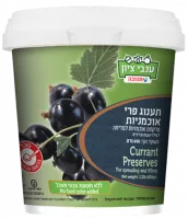 Черничное варенье, Anavei Zion-Photoroom