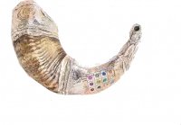 Large silver-plated rum shofar with a hosen pattern