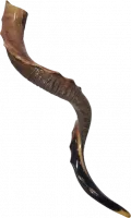 Kudu shofar with slits on the side