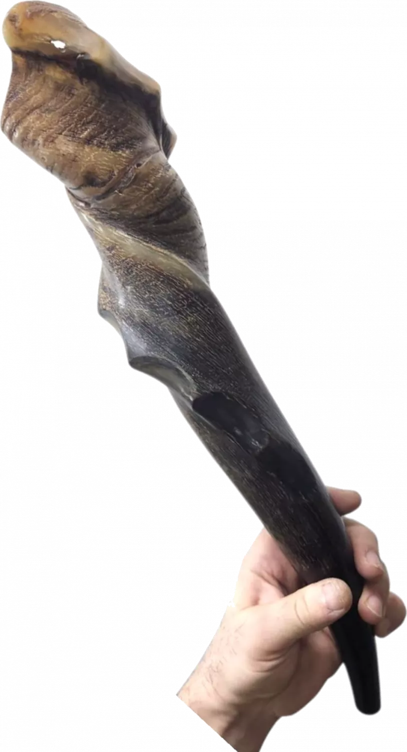 Shofar eland, exotic, with waves on the sides of the shofar, handmade_1