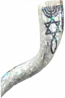 Shofar the mother of pearls, for collectors and luxury_2