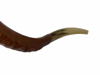Shofar covered with leather_3