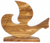 Photoroom-20250117_101427-no-bg-preview (carve.photos)