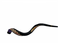 Shofar Night Jerusalem