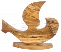 Photoroom-20250117_101338-no-bg-preview (carve.photos)