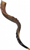 Kudu shofar with slits on the side