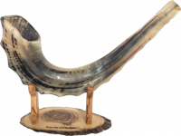 Shofar ram xl with waves on the sides of the shofar_2