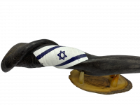 Shofar with the flag of Israel_1