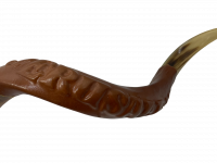 Shofar covered with leather_2