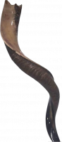 Kudu shofar with crown-shaped finish_1