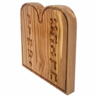 Photoroom-20250117_143708-no-bg-preview (carve.photos)